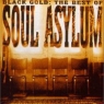Soul Asylum Black Gold The Best Of Soul Asylum Формат: Audio CD (Jewel Case) Дистрибьюторы: Columbia, SONY BMG Russia Лицензионные товары Характеристики аудионосителей 2007 г Сборник: Импортное издание инфо 3637n.