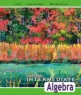Intermediate Algebra (10th Edition) Издательство: Addison Wesley, 2007 г Твердый переплет, 912 стр ISBN 0321443624 инфо 3810n.