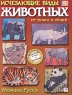 Исчезающие виды животных Серия: От точки к точке инфо 4045n.