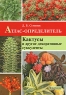 Атлас-определитель Кактусы и другие декоративные суккуленты Издательство: Фитон+, 2010 г Интегральный переплет, 192 стр ISBN 978-5-93457-312-7 Тираж: 1500 экз Формат: 70x100/16 (~167x236 мм) Мелованная бумага, Цветные иллюстрации инфо 4862n.